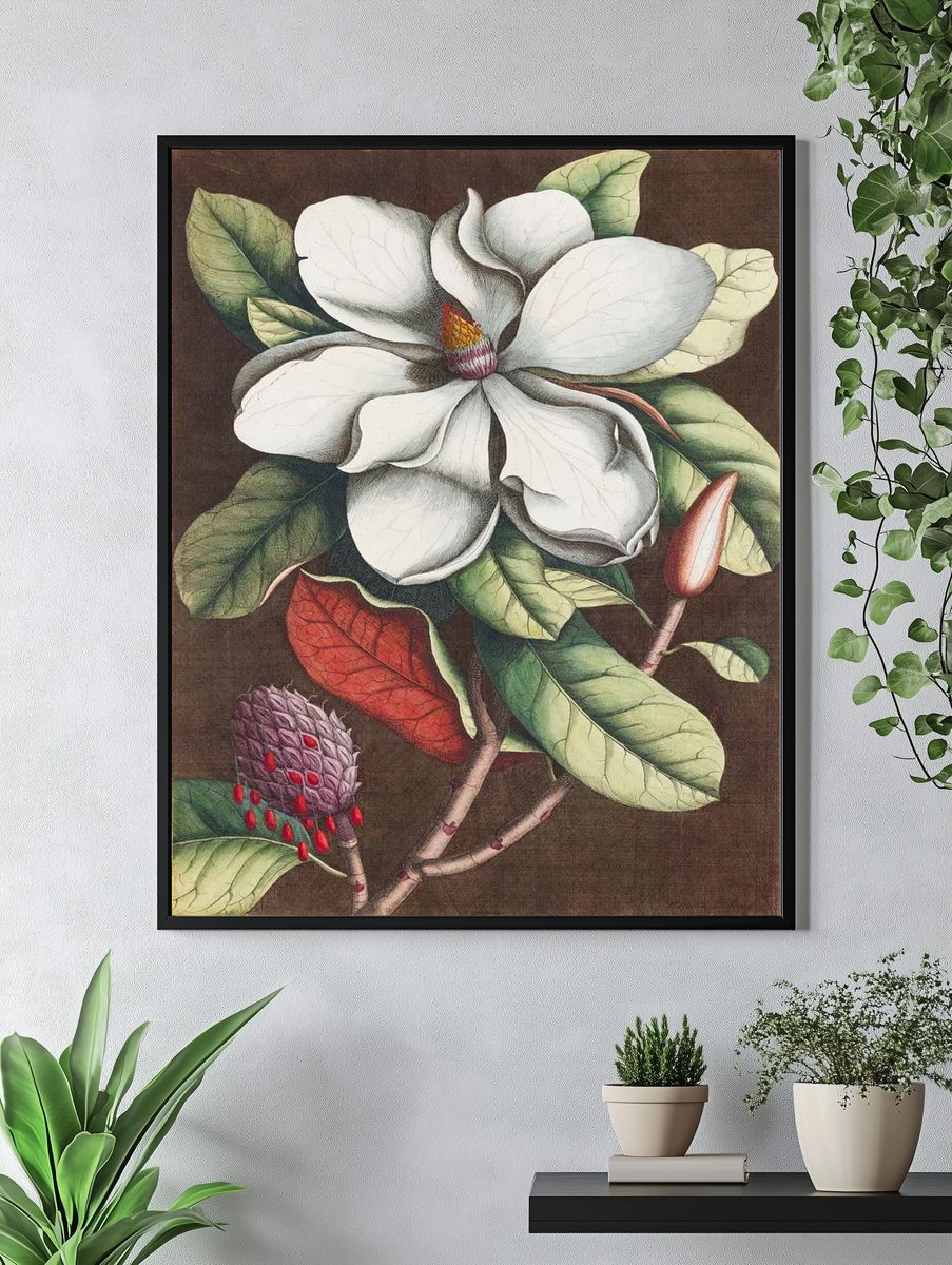 Magnolia Blossom — Botanical Print. — room view 4