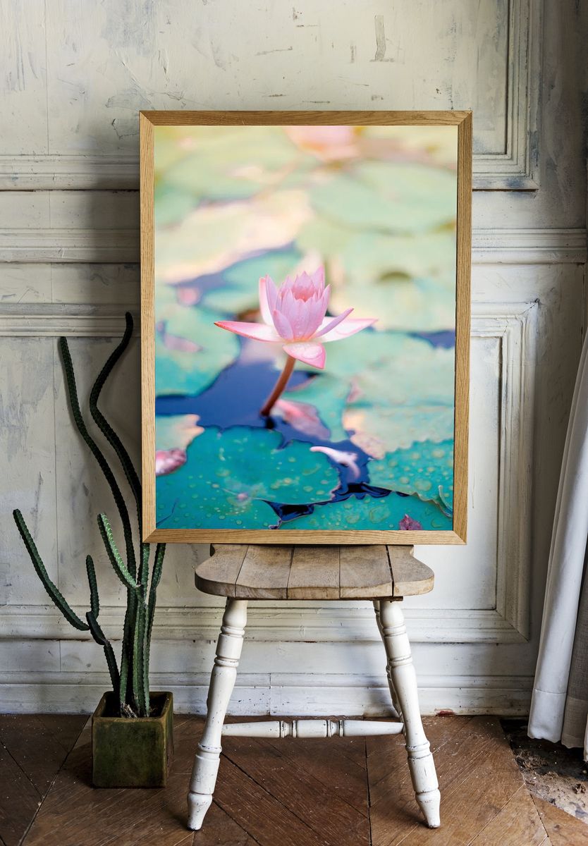 Pink Water Lily — Botanical Print. — room view 1