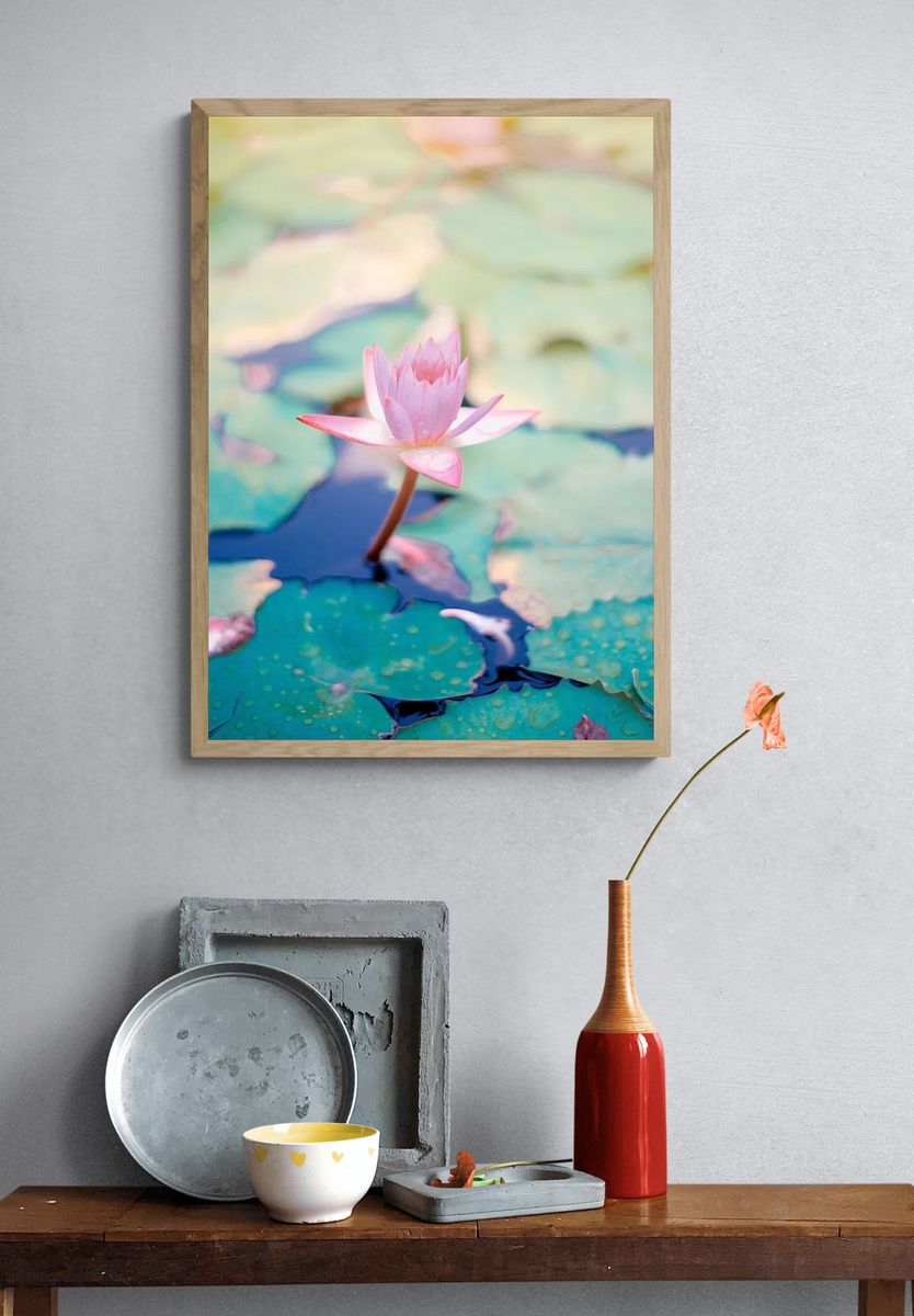 Pink Water Lily — Botanical Print. — room view 3