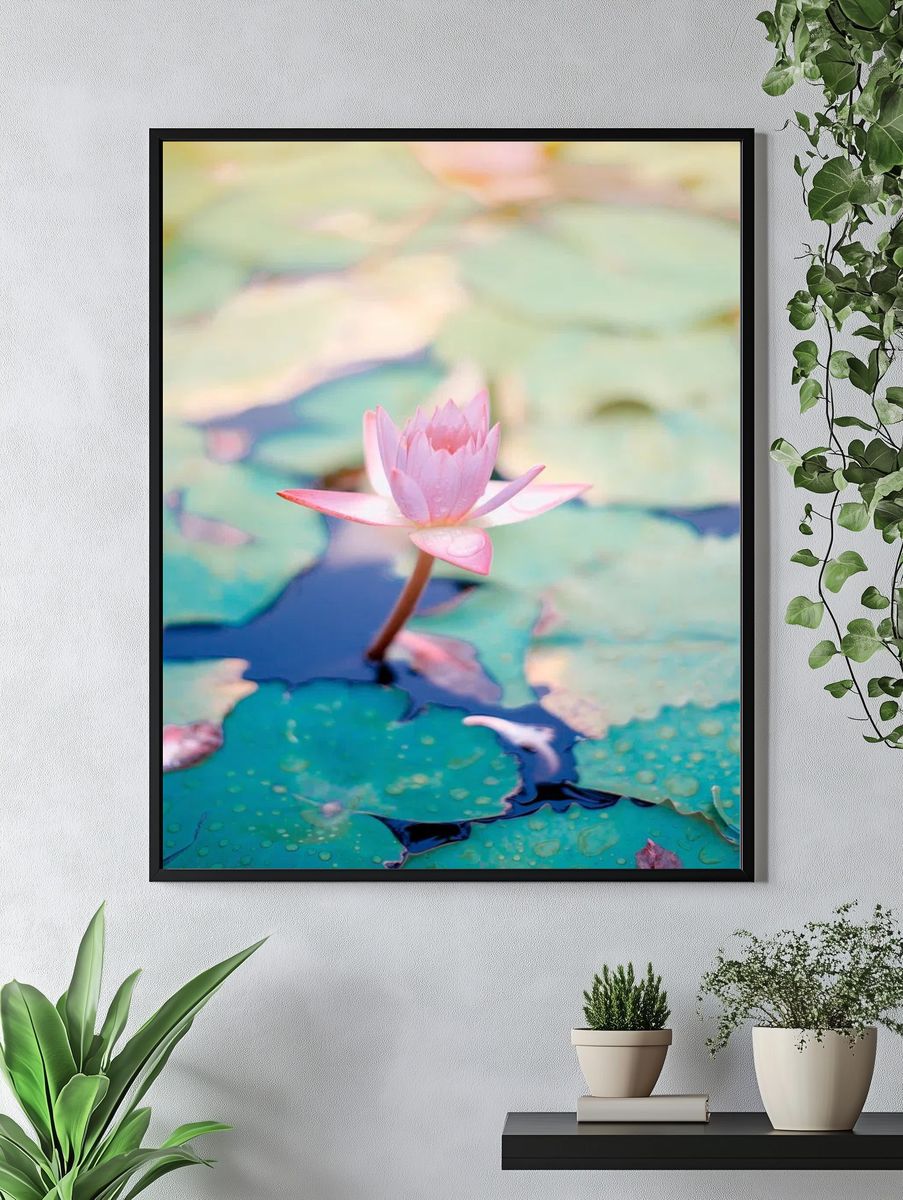 Pink Water Lily — Botanical Print. — room view 4