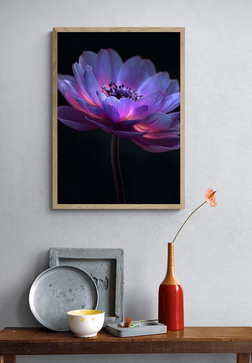 Purple Flower — Botanical Print. — room view 3
