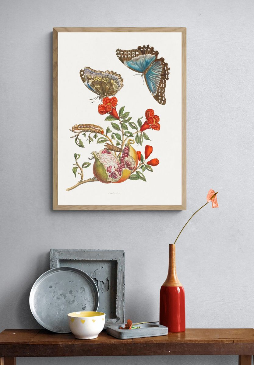 Butterflies and Pomegranate — Botanical Print. — room view 3