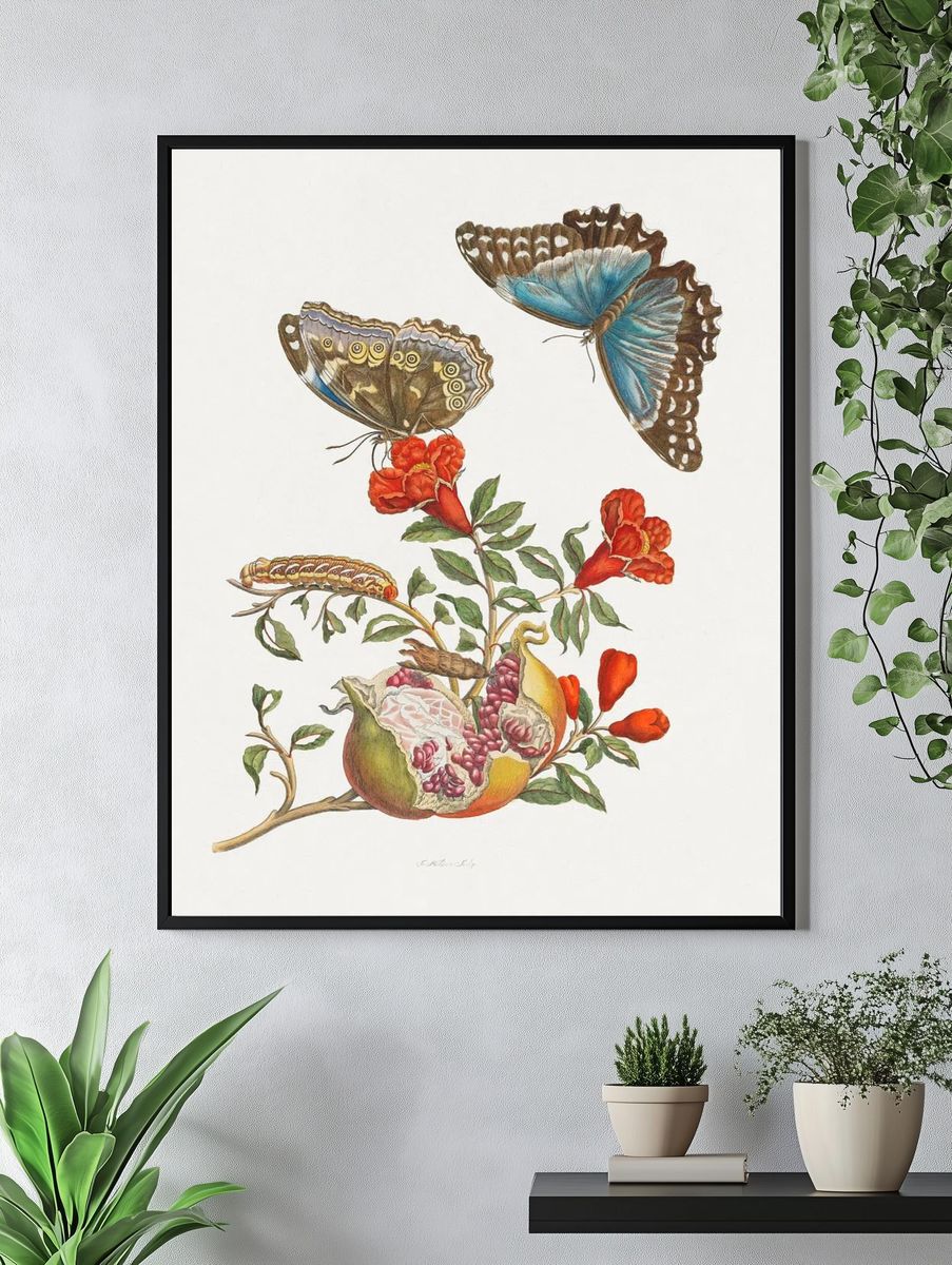 Butterflies and Pomegranate — Botanical Print. — room view 4