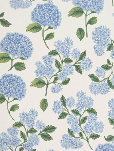 Hydrangea Floral Illustration Poster. poster print
