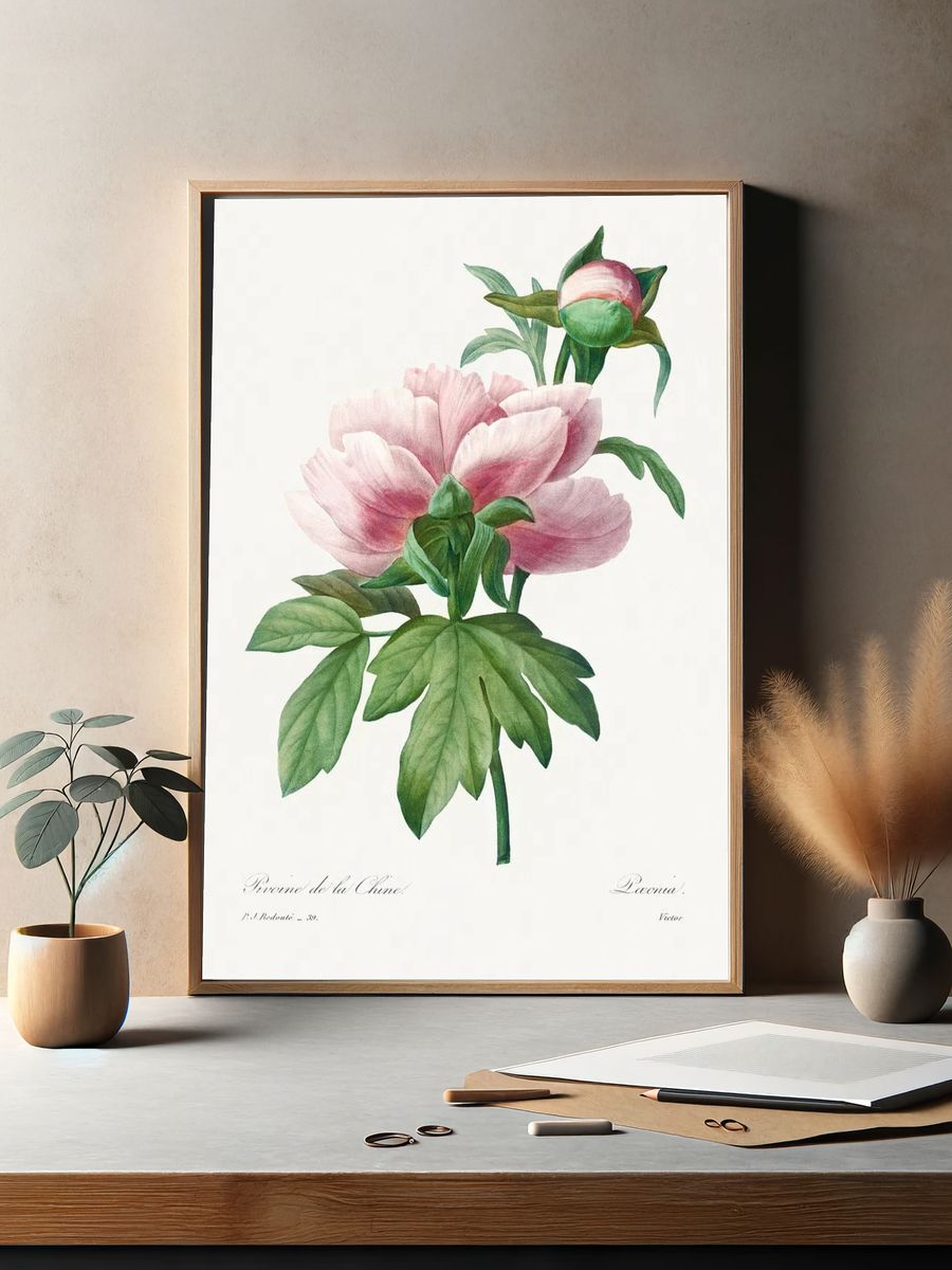 Peony Flower Botanical Print. — room view 2