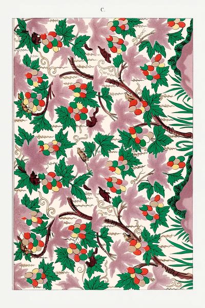 Grapevine Botanical Print. poster