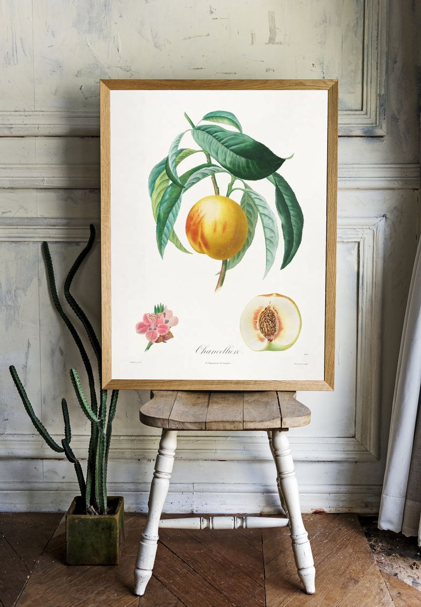 Channellore Botanical Print. — room view 1