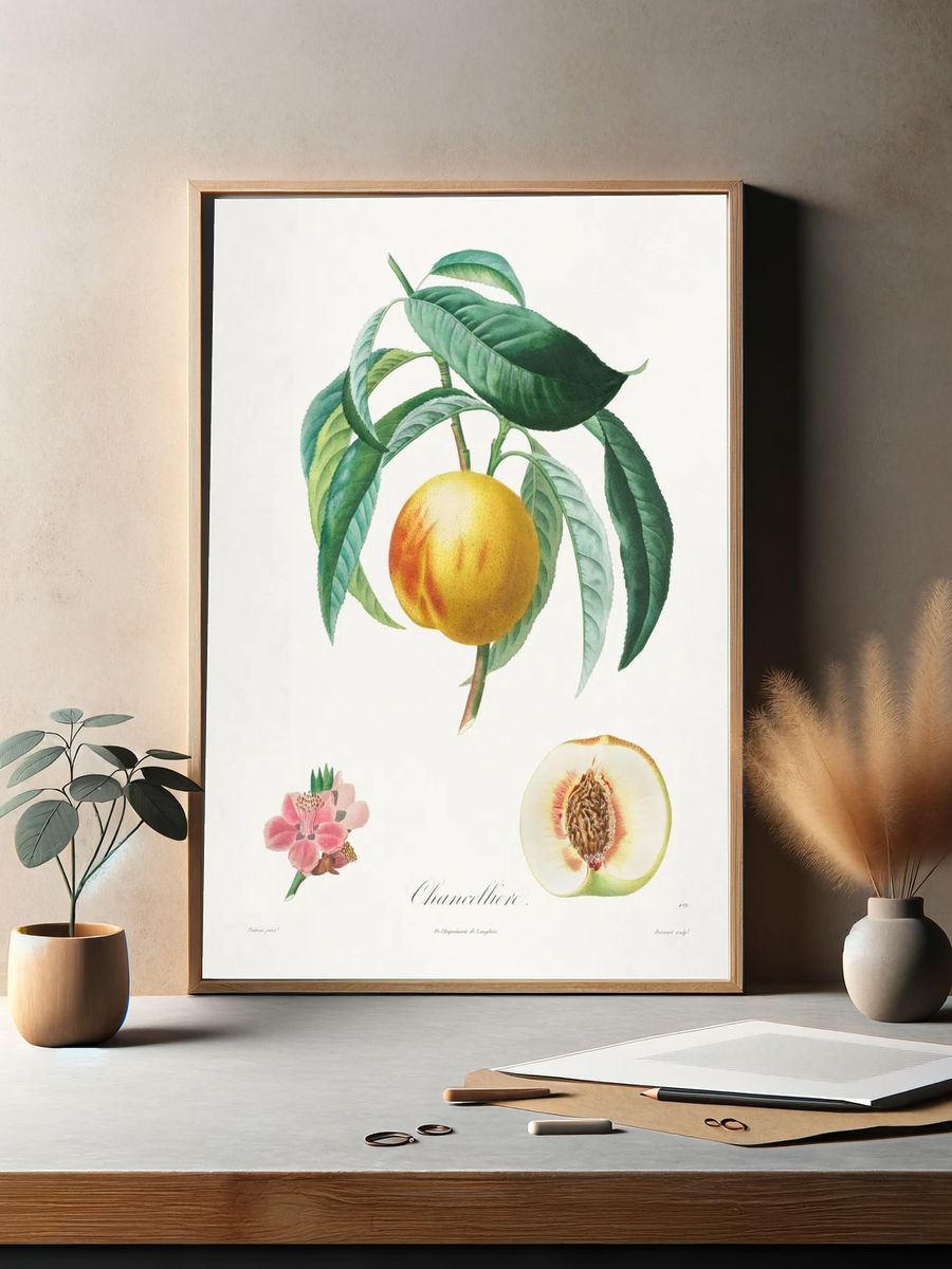 Channellore Botanical Print. — room view 2