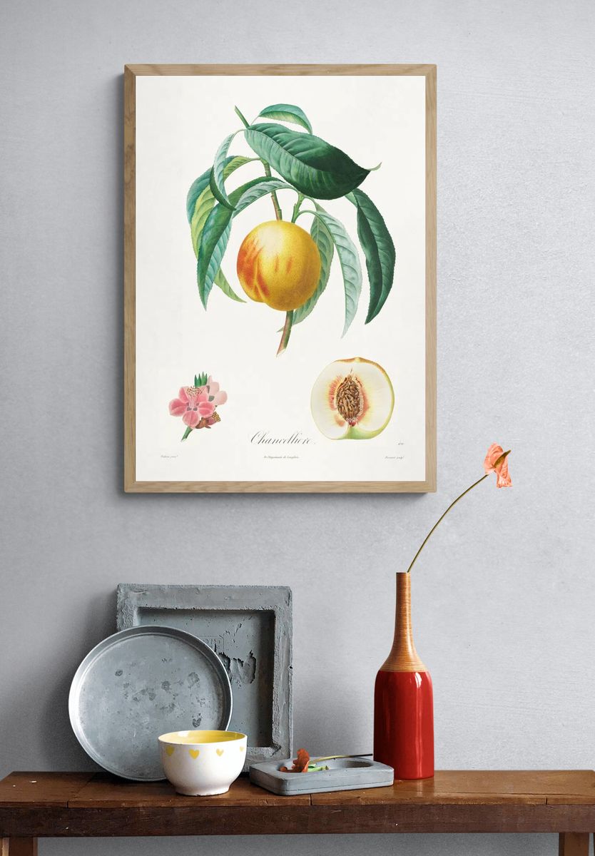 Channellore Botanical Print. — room view 3