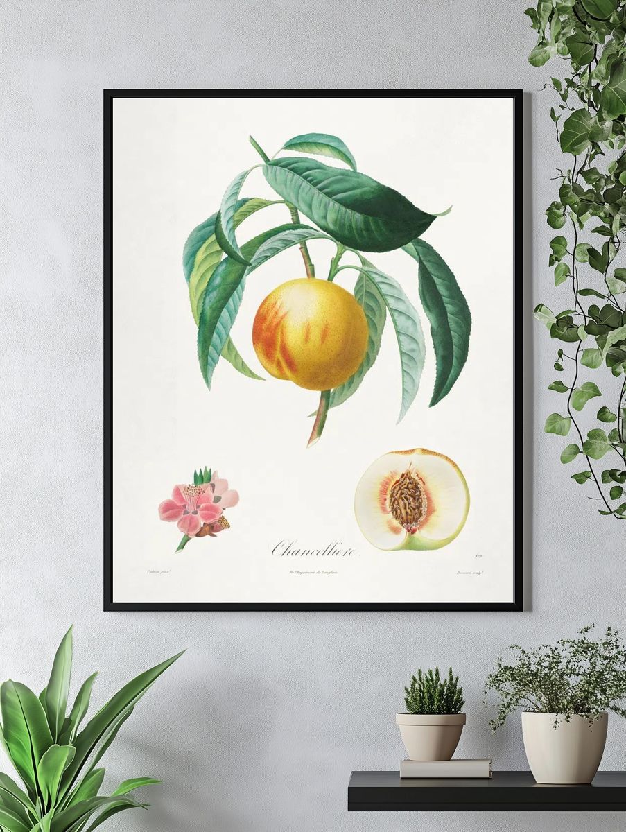 Channellore Botanical Print. — room view 4