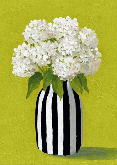 White Hydrangeas in Striped Vase