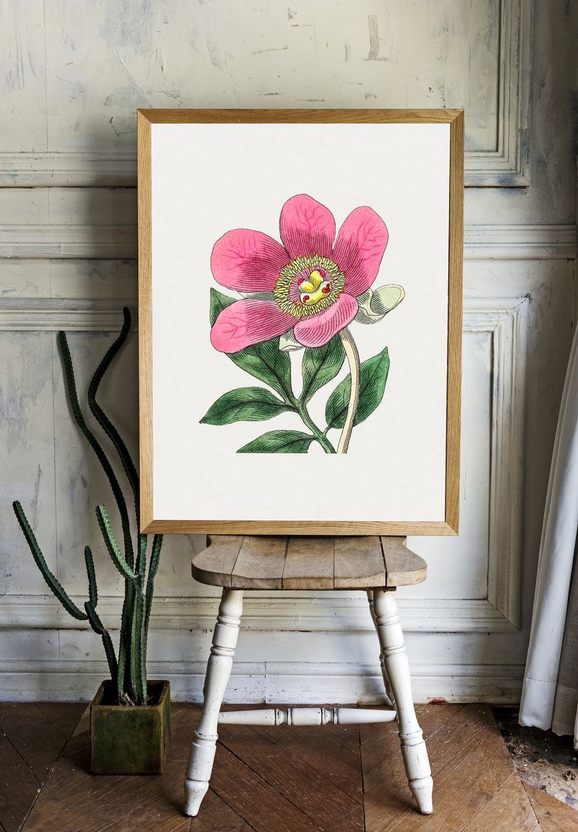 Pink Flower Botanical Print. — room view 1