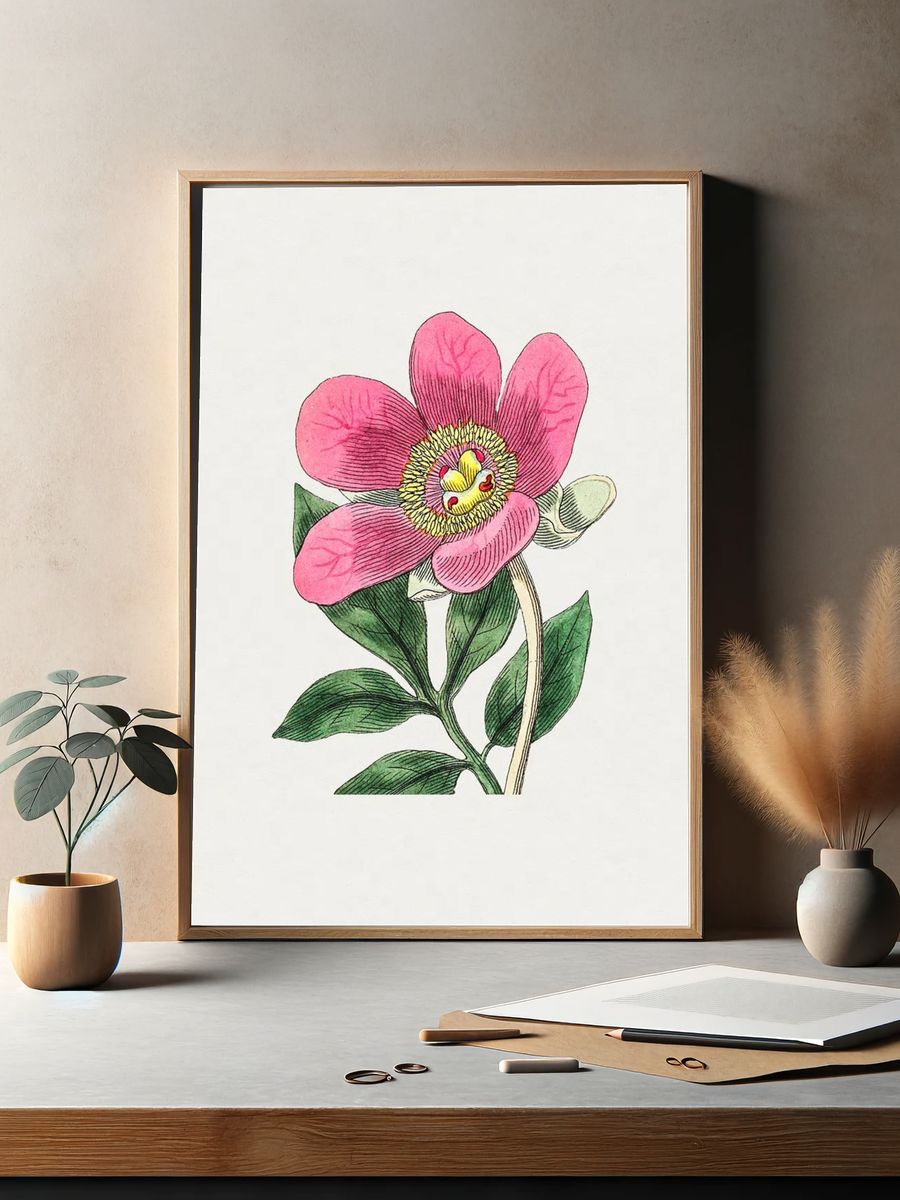 Pink Flower Botanical Print. — room view 2