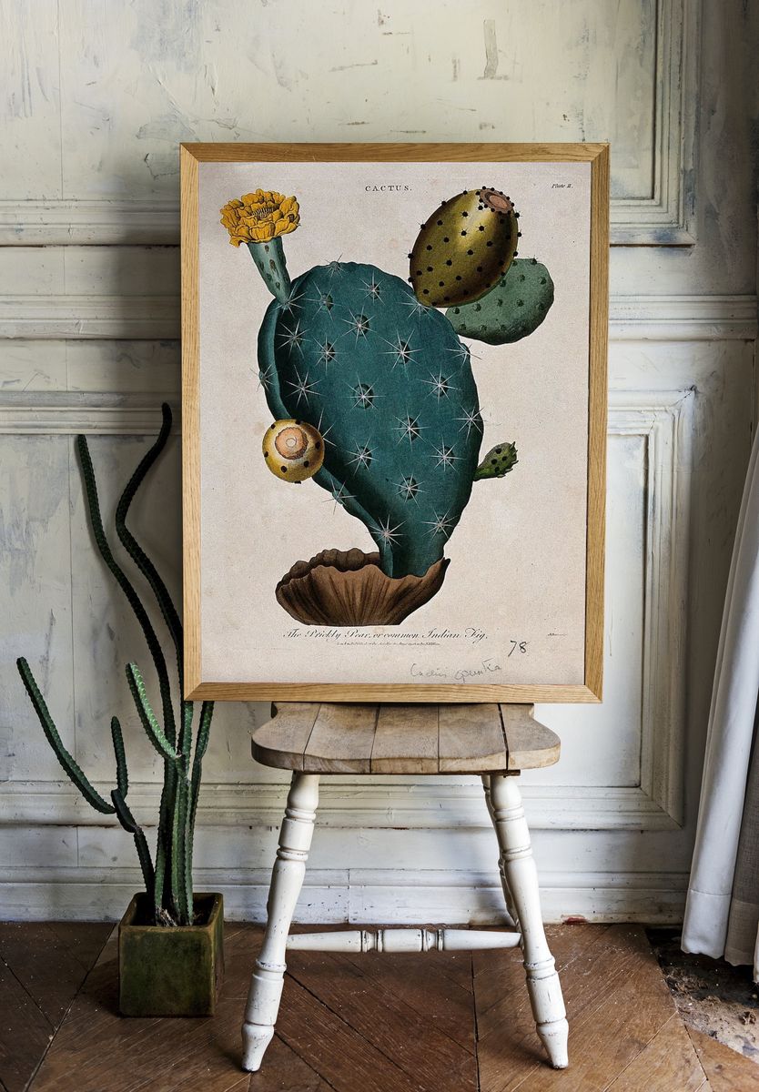 Cactus Botanical Print. — room view 1