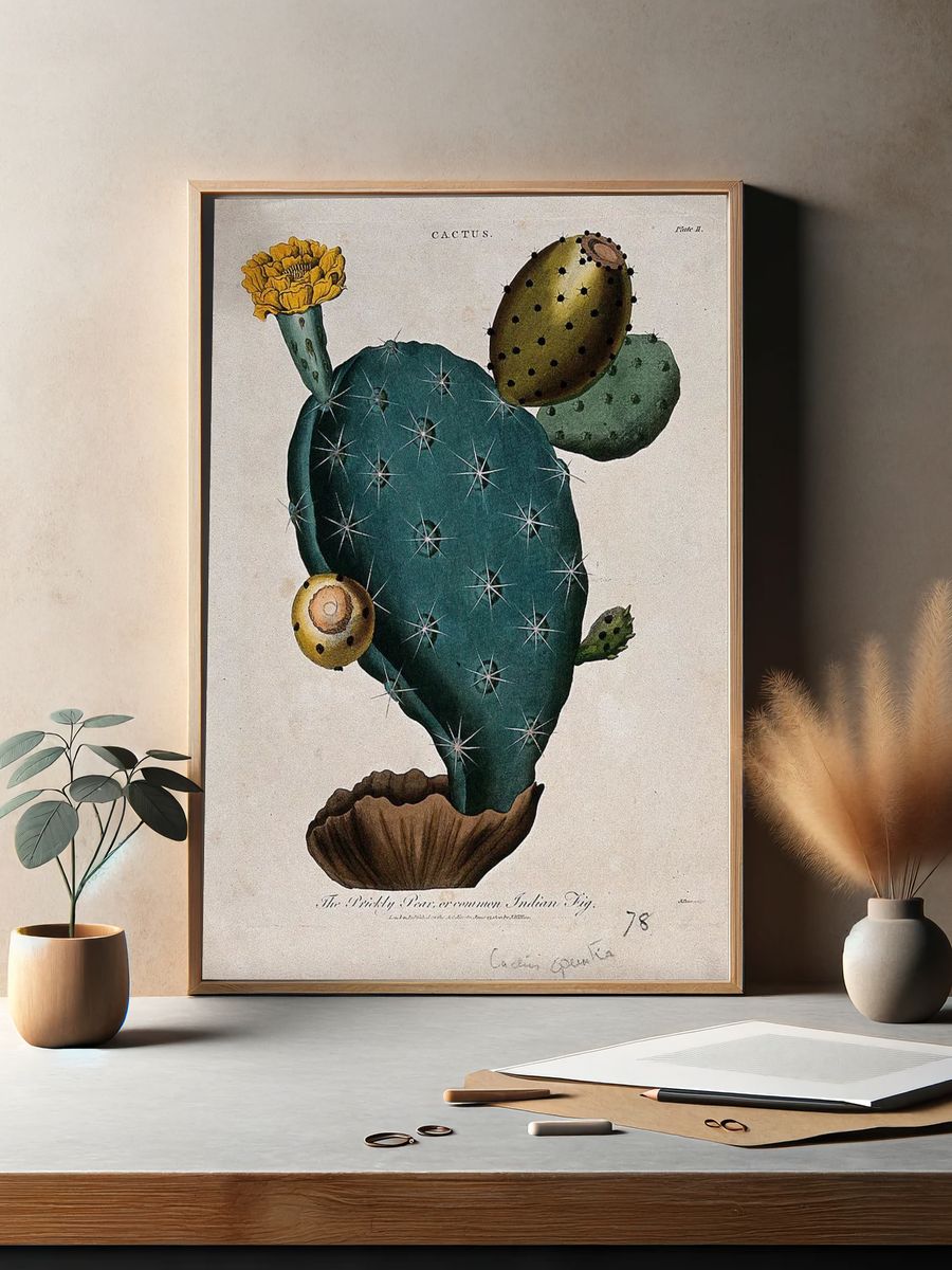 Cactus Botanical Print. — room view 2