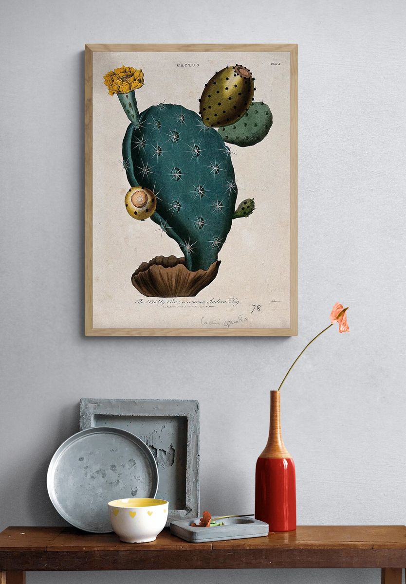 Cactus Botanical Print. — room view 3