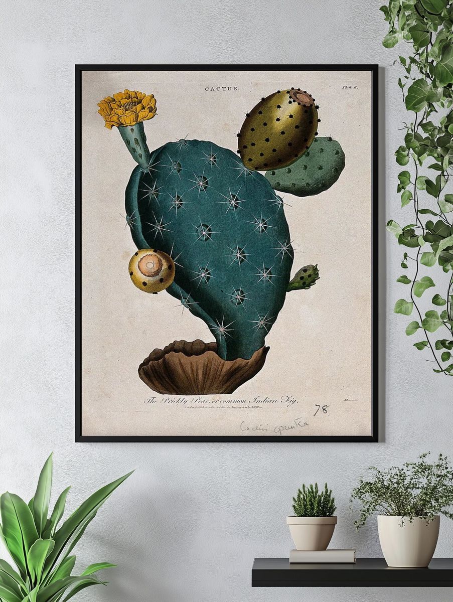 Cactus Botanical Print. — room view 4