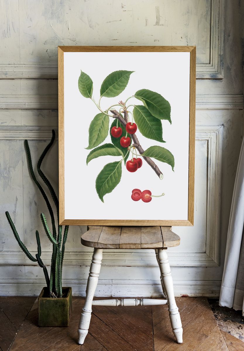 Cherry Branch Botanical Print. — room view 1