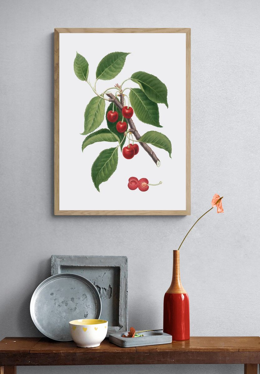 Cherry Branch Botanical Print. — room view 3