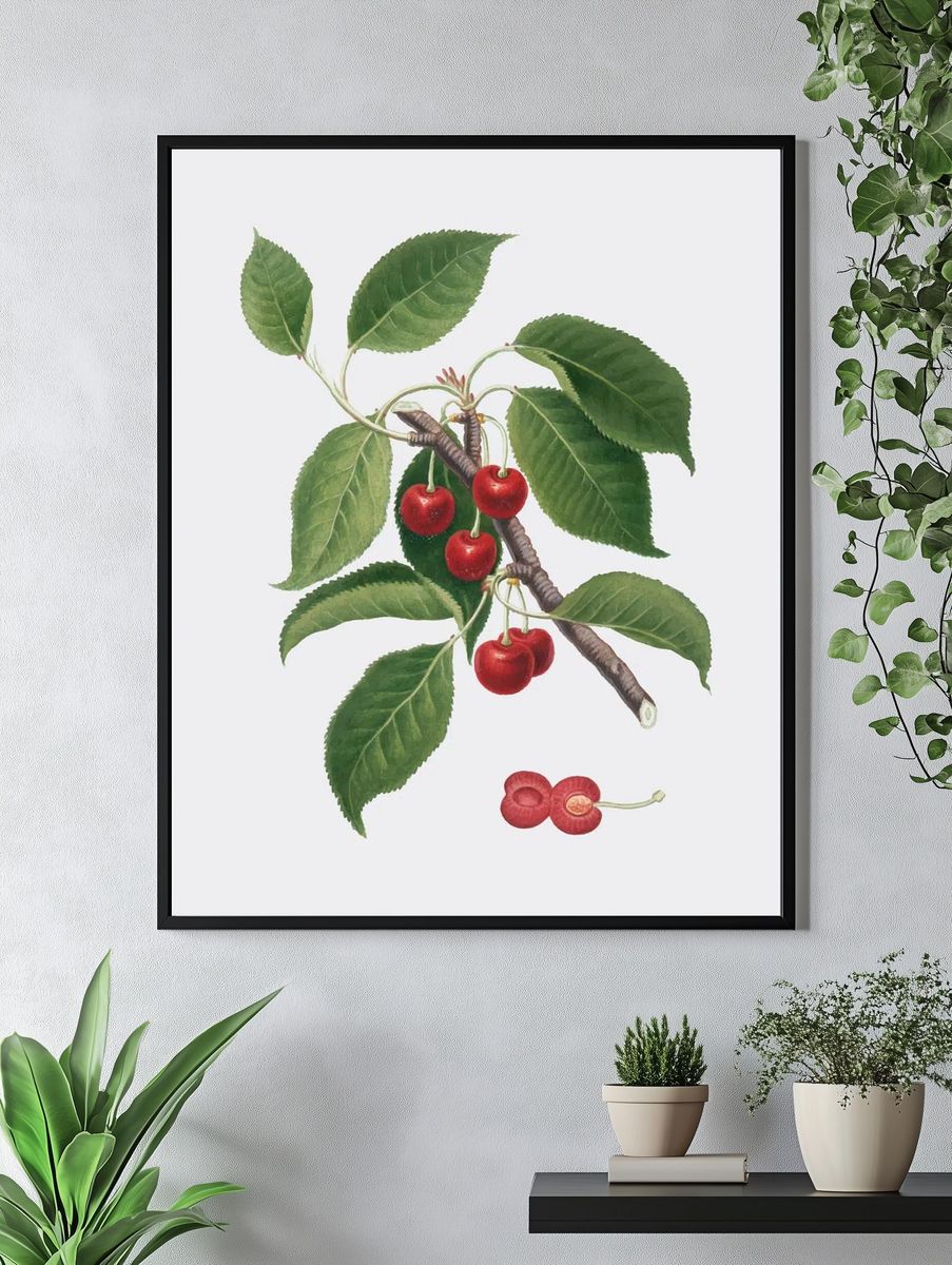 Cherry Branch Botanical Print. — room view 4