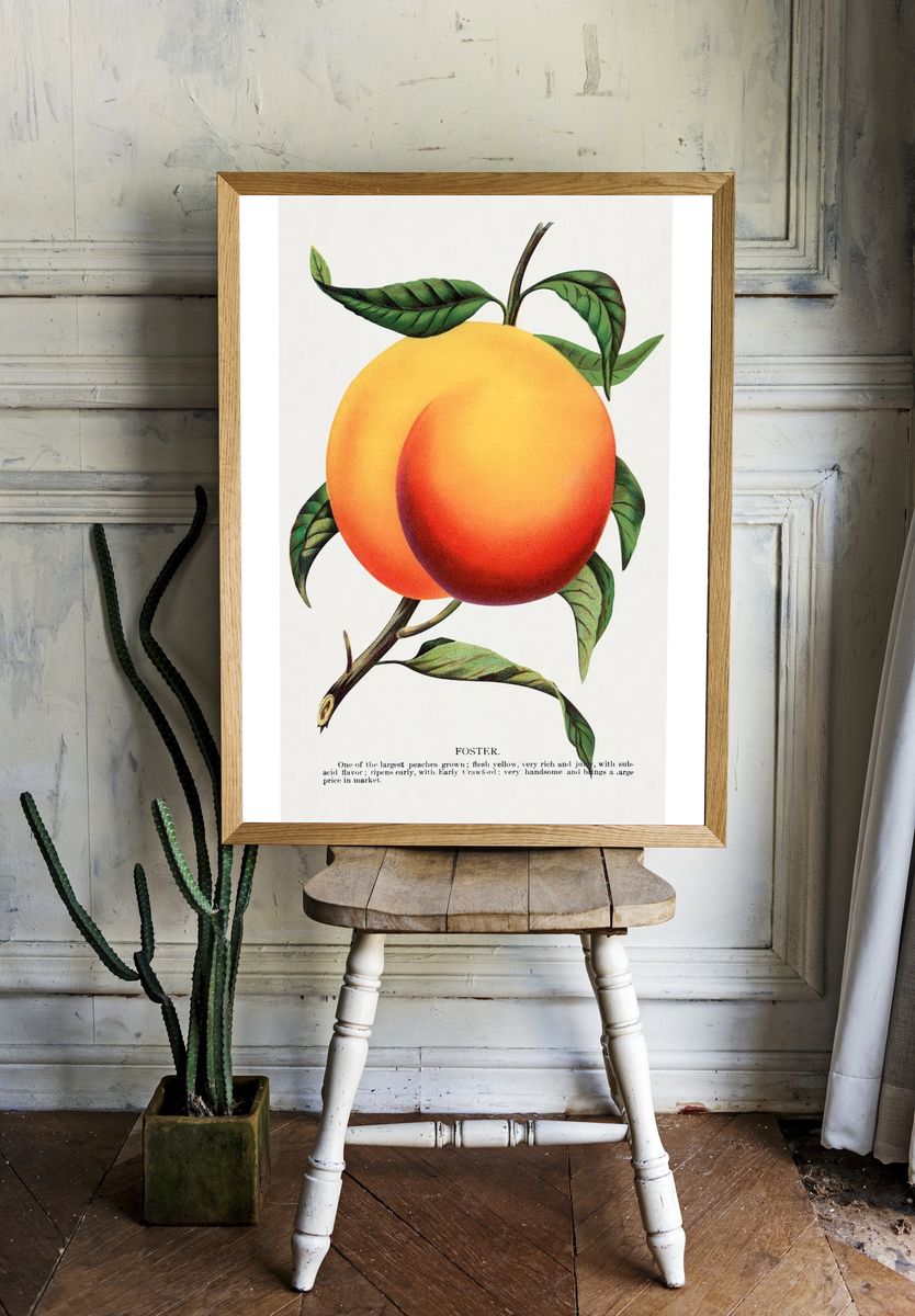 Foster Peach Botanical Print. — room view 1