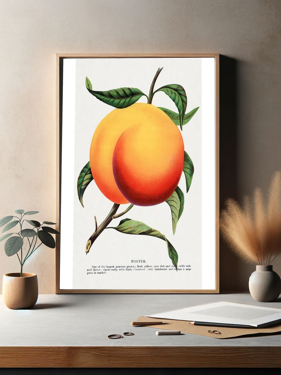 Foster Peach Botanical Print. — room view 2