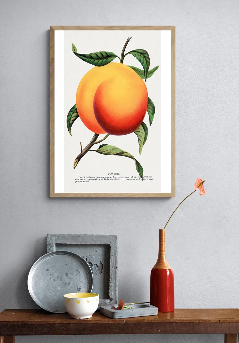 Foster Peach Botanical Print. — room view 3