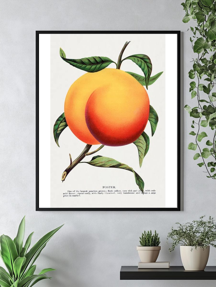 Foster Peach Botanical Print. — room view 4
