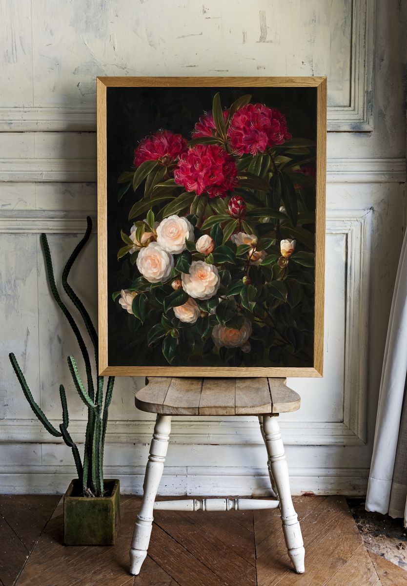 Rhododendron and Camellia — Botanical Print. — room view 1