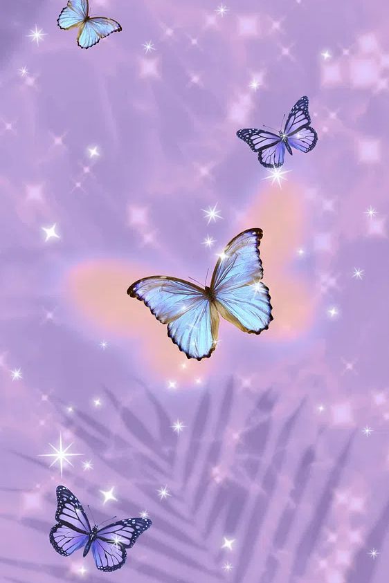 Butterflies on Purple Background Poster. poster — illustration art