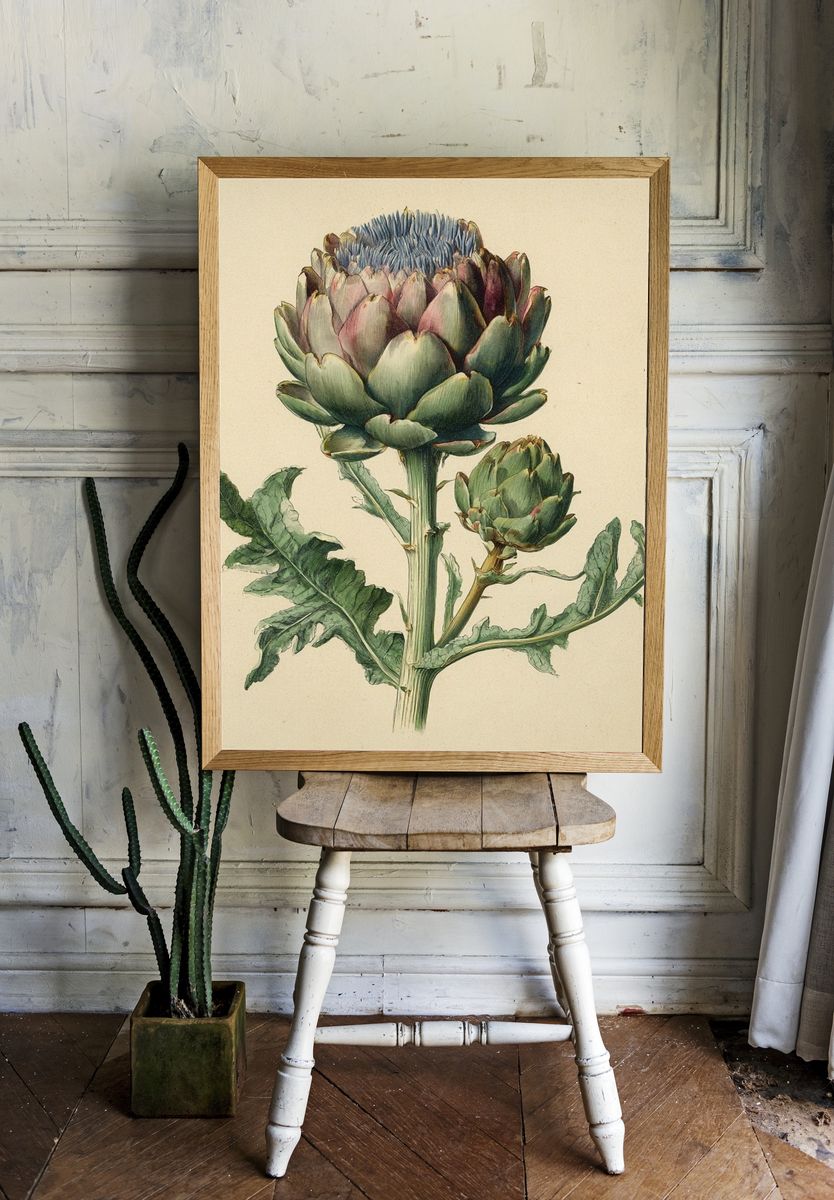 Artichoke Botanical Print. — room view 1