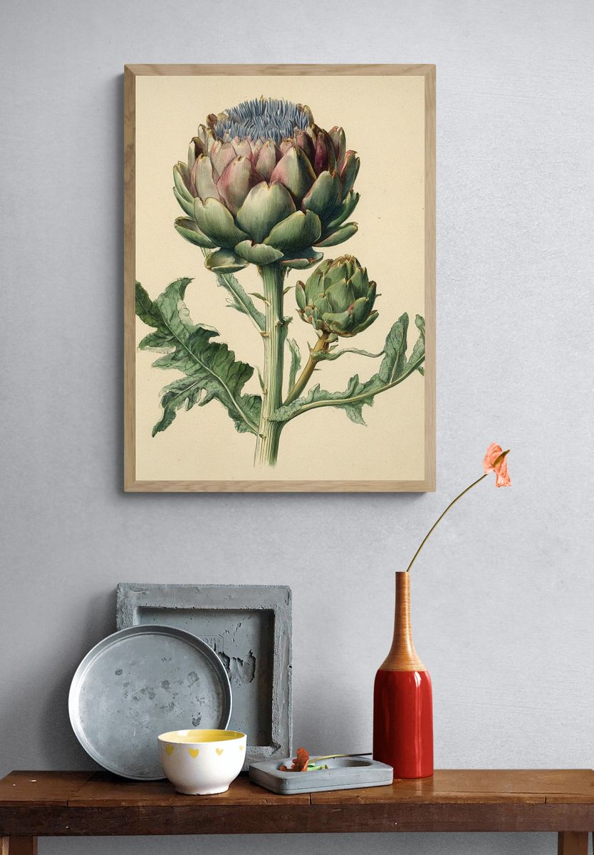 Artichoke Botanical Print. — room view 3