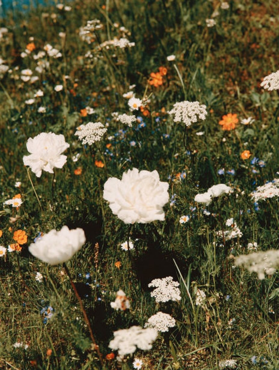 Wildflower Meadow — Botanical Print. poster detail