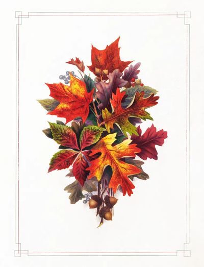 Autumn Leaves — Botanical Print. poster print