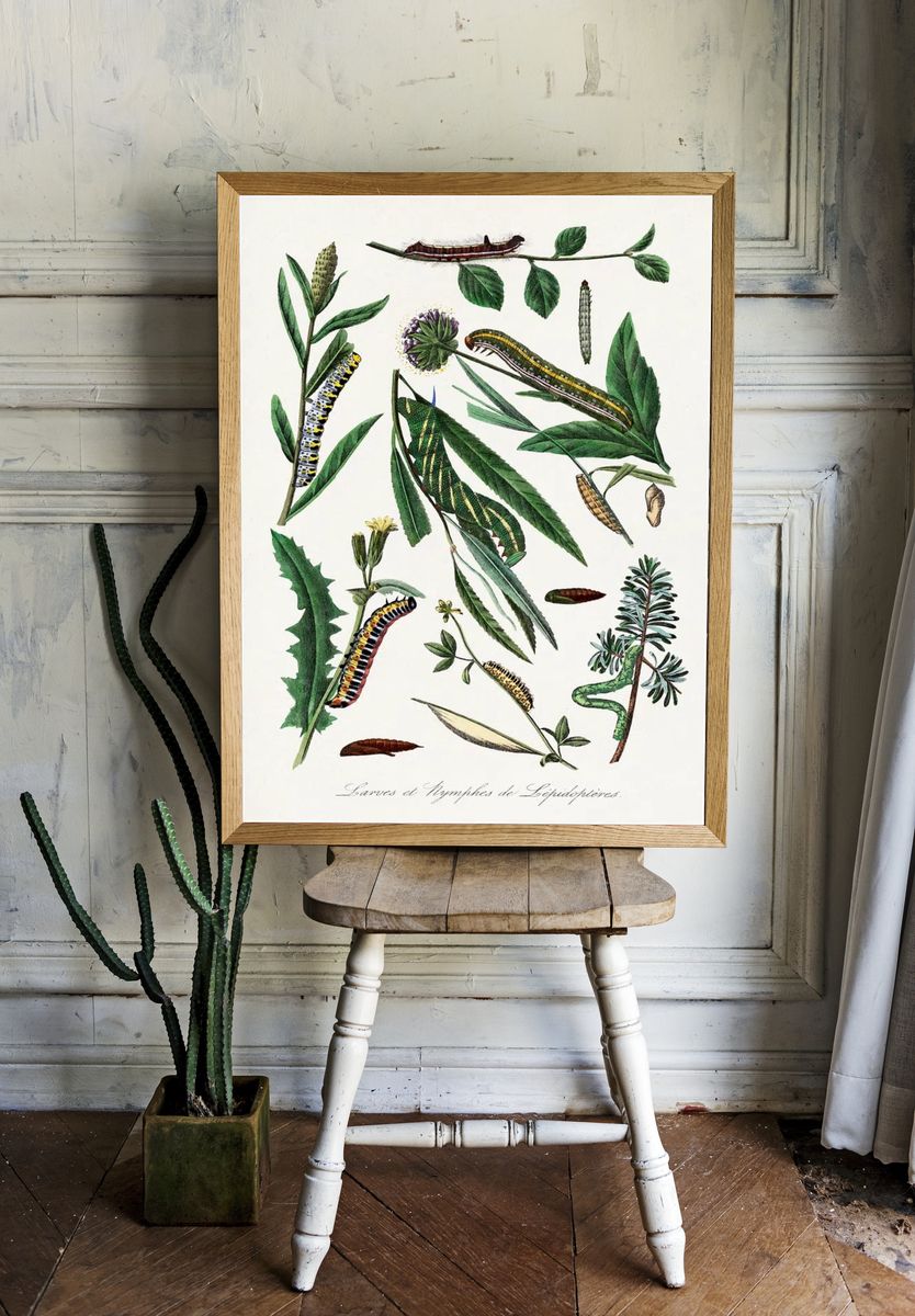Caterpillars and Leaves — Botanical Print. — room view 1