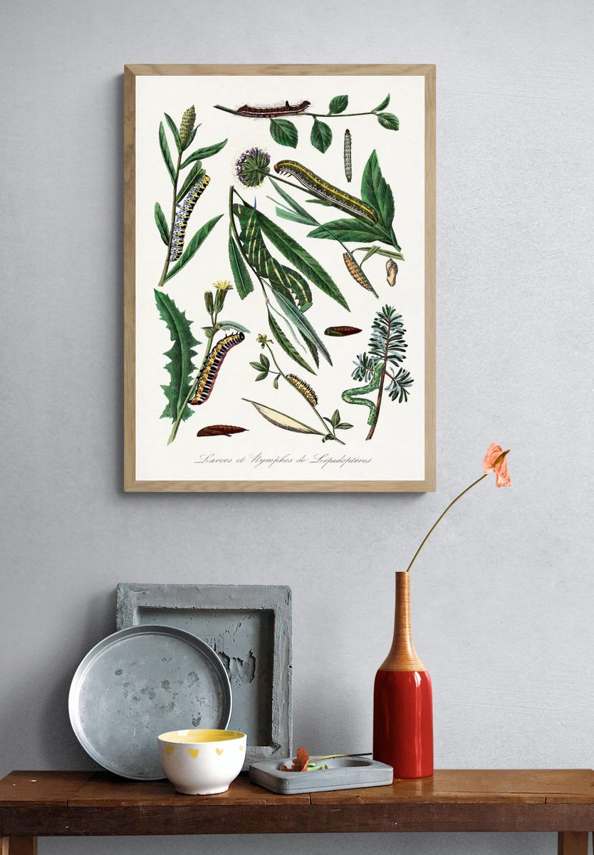 Caterpillars and Leaves — Botanical Print. — room view 3