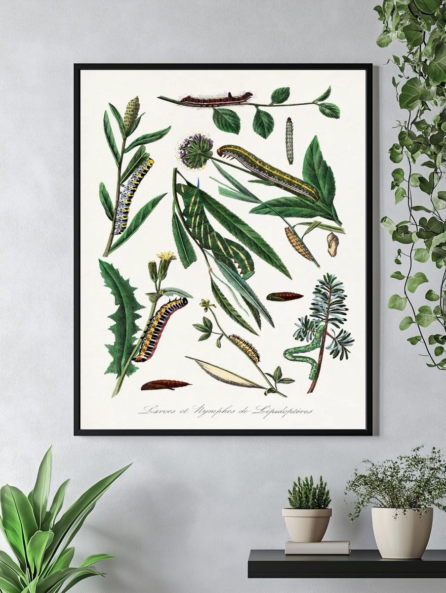 Caterpillars and Leaves — Botanical Print. — room view 4