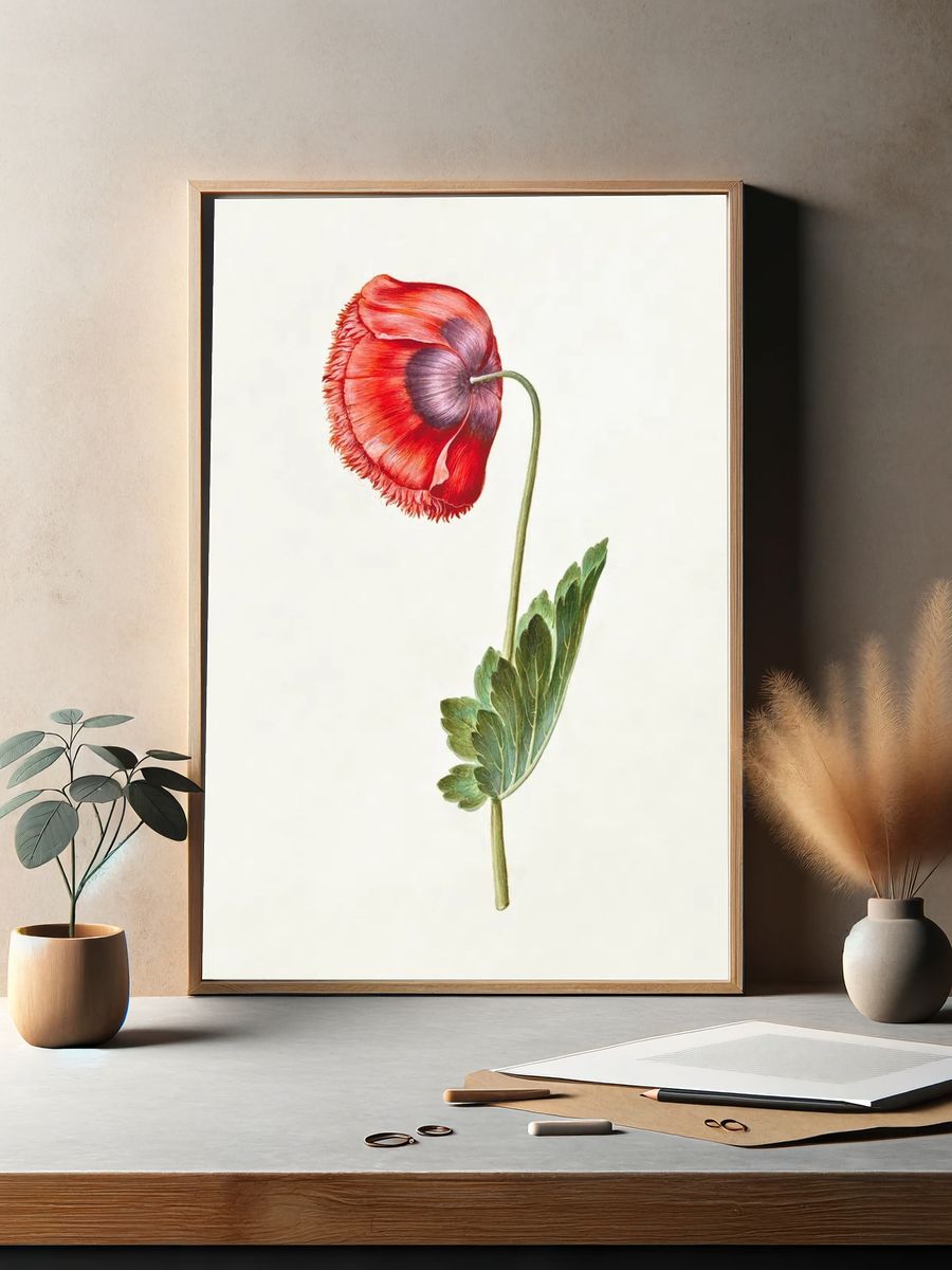 Red Poppy Botanical Print. — room view 2