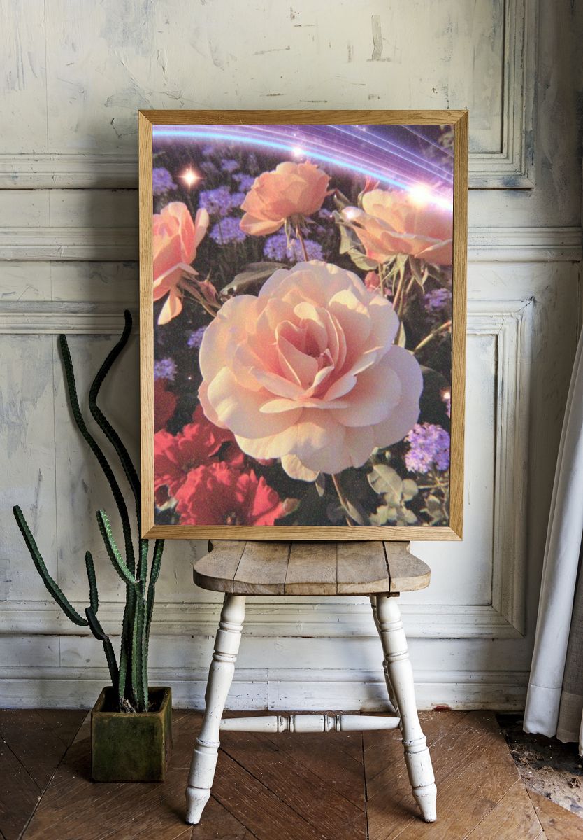 Pink Roses in Bloom — Botanical Print. — room view 1