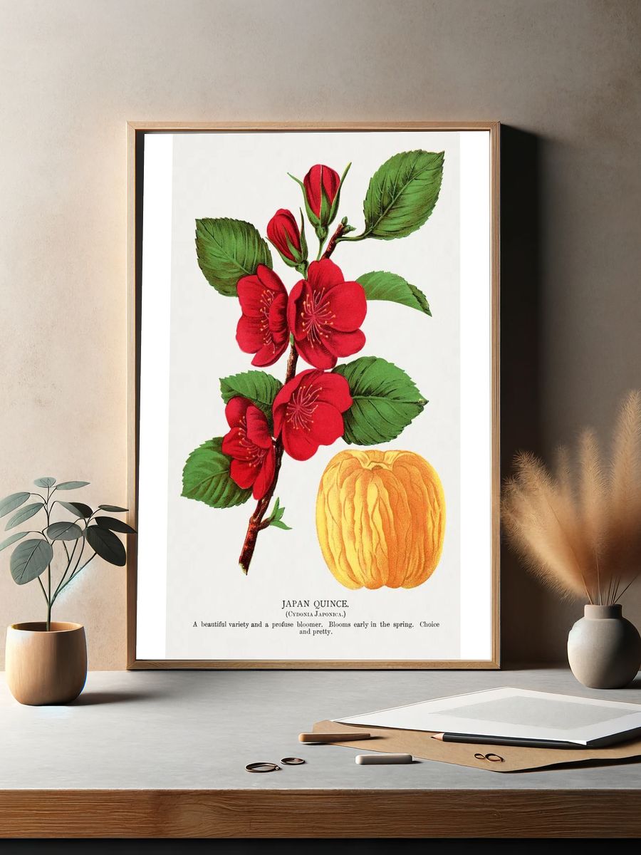 Japan Quince Botanical Print. — room view 2