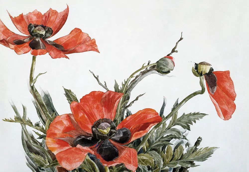 Red Poppies (1929) painting high. poster — botanical art