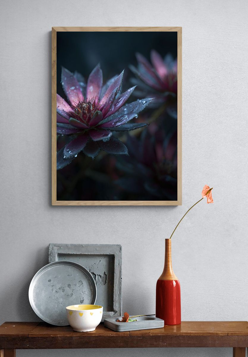 Water Droplets on Pink Succulent Poster. — room view 3