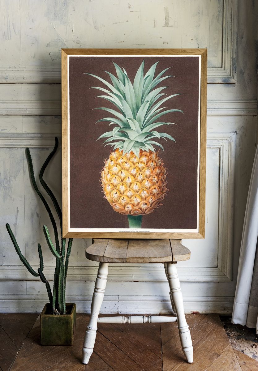 Pineapple Botanical Print. — room view 1