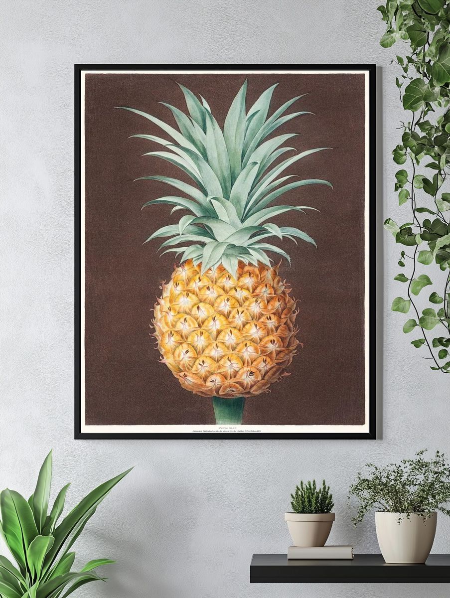 Pineapple Botanical Print. — room view 4