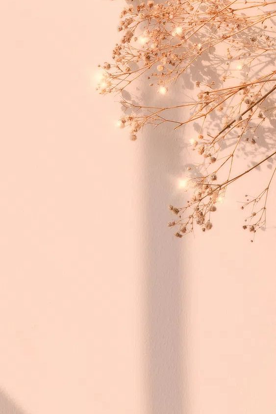 Dried Flowers on Soft Pink Background Poster. poster detail