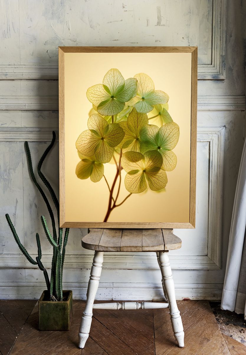 Delicate Hydrangea Leaves — Botanical Print. — room view 1
