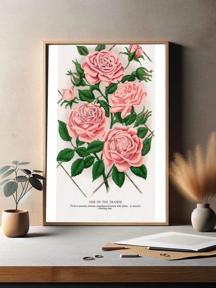 Gem of the Prairie — Botanical Print. — room view 2