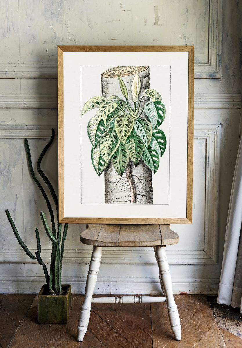 Monstera Plant Illustration Poster. — room view 1