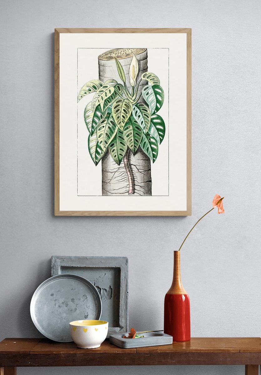 Monstera Plant Illustration Poster. — room view 3