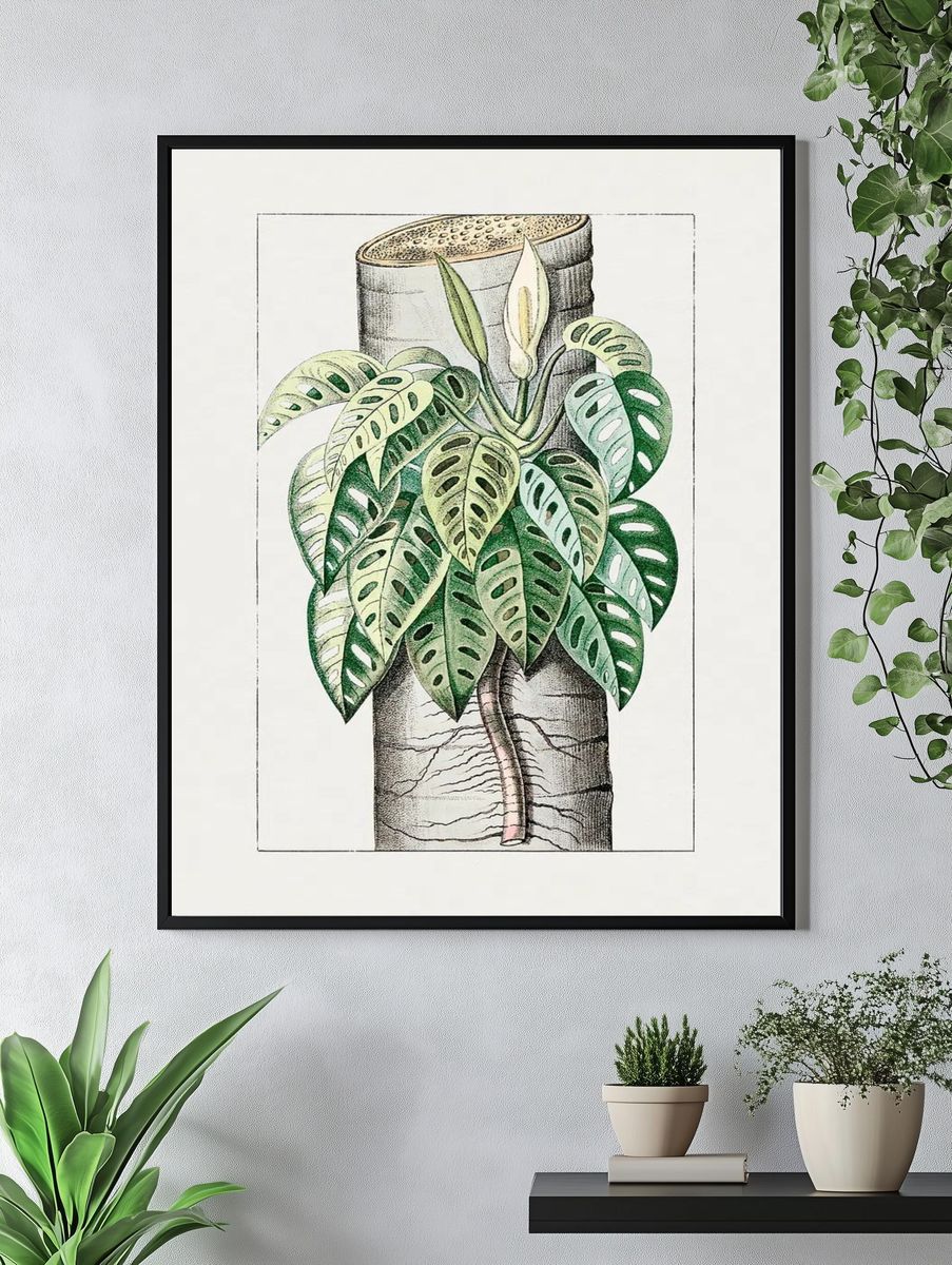 Monstera Plant Illustration Poster. — room view 4